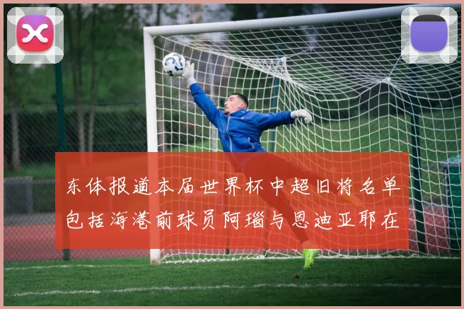 东体报道本届世界杯中超旧将名单包括海港前球员阿瑙与恩迪亚耶在内的10位球员